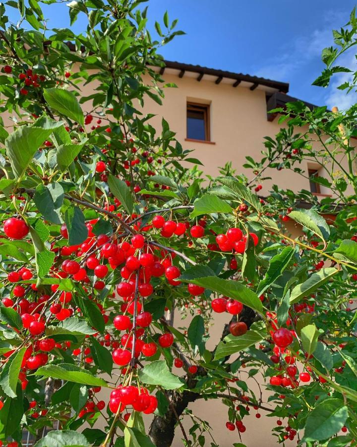 Casa Due Marie Marano Sul Panaro Hotel Exterior foto